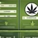 Can You Smoke Hemp Rope? The Difference Between Hemp and Cannabis and Why You Shouldn’t Smoke It