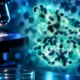 Pneumocystis jirovecii resistance to mycophenolic acid